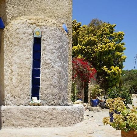 Cortijo La Joya De Cabo De Gata Casa de hóspedes Agua Amarga  Exterior foto